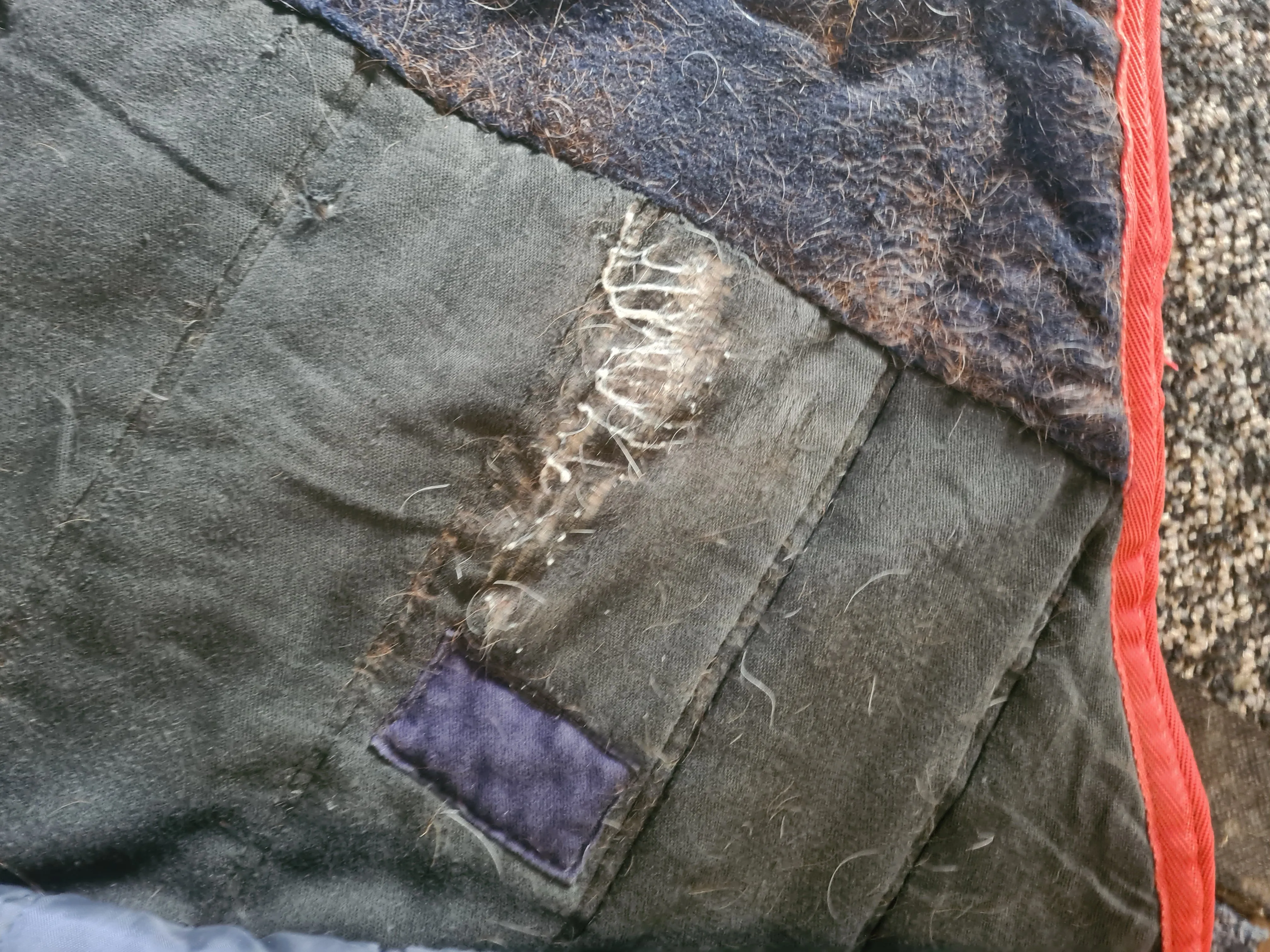 5'9 medium stable rug, few minor tears and repairs
