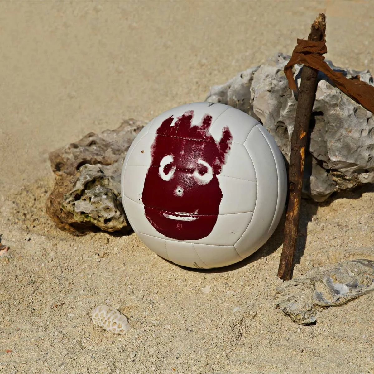 Castaway Volleyball