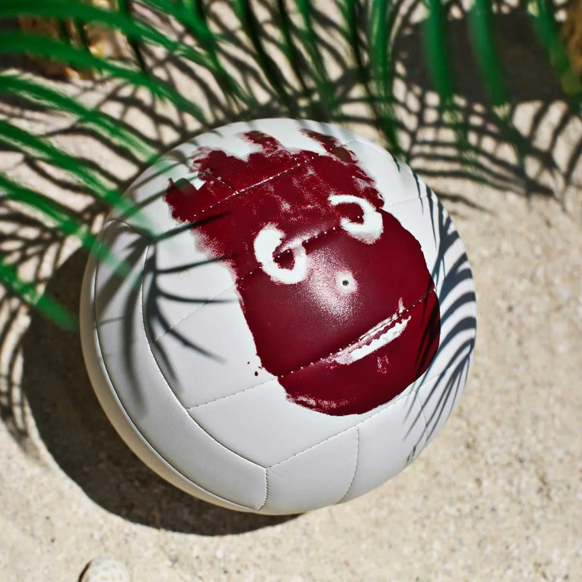 Castaway Volleyball
