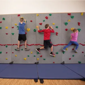 Everlast Climbing 8' H River Rock™ Climbing Wall (Granite/Slate)