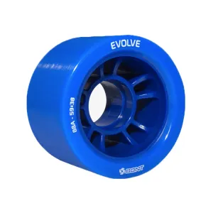 Evolve 59mm x 38mm