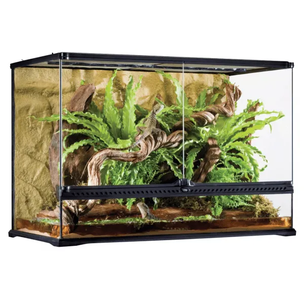 Exo Terra Terrarium - Large Tall (90 x 45 x 60cm)