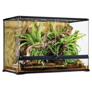 Exo Terra Terrarium - Large Tall (90 x 45 x 60cm)