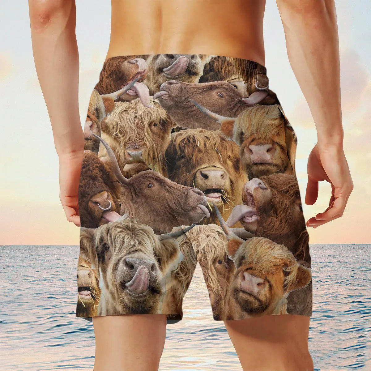 highland Herd Shorts