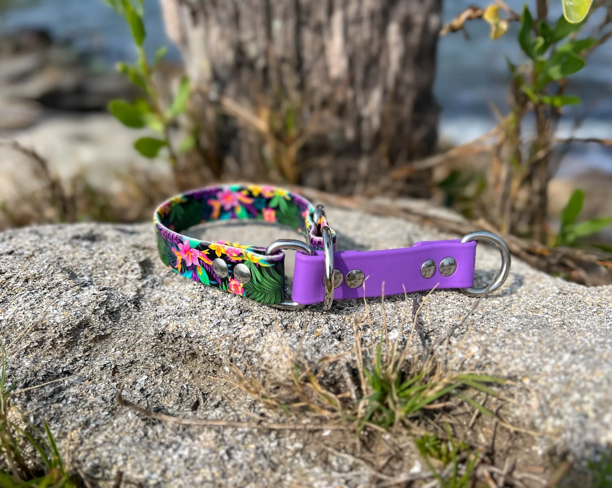 Limited Slip Patterned BioThane® Collar