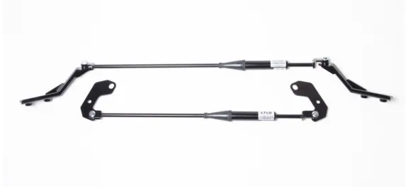 LTLD Performance Stabilizer Links for 2022  Honda Civic - ** Returned Item **