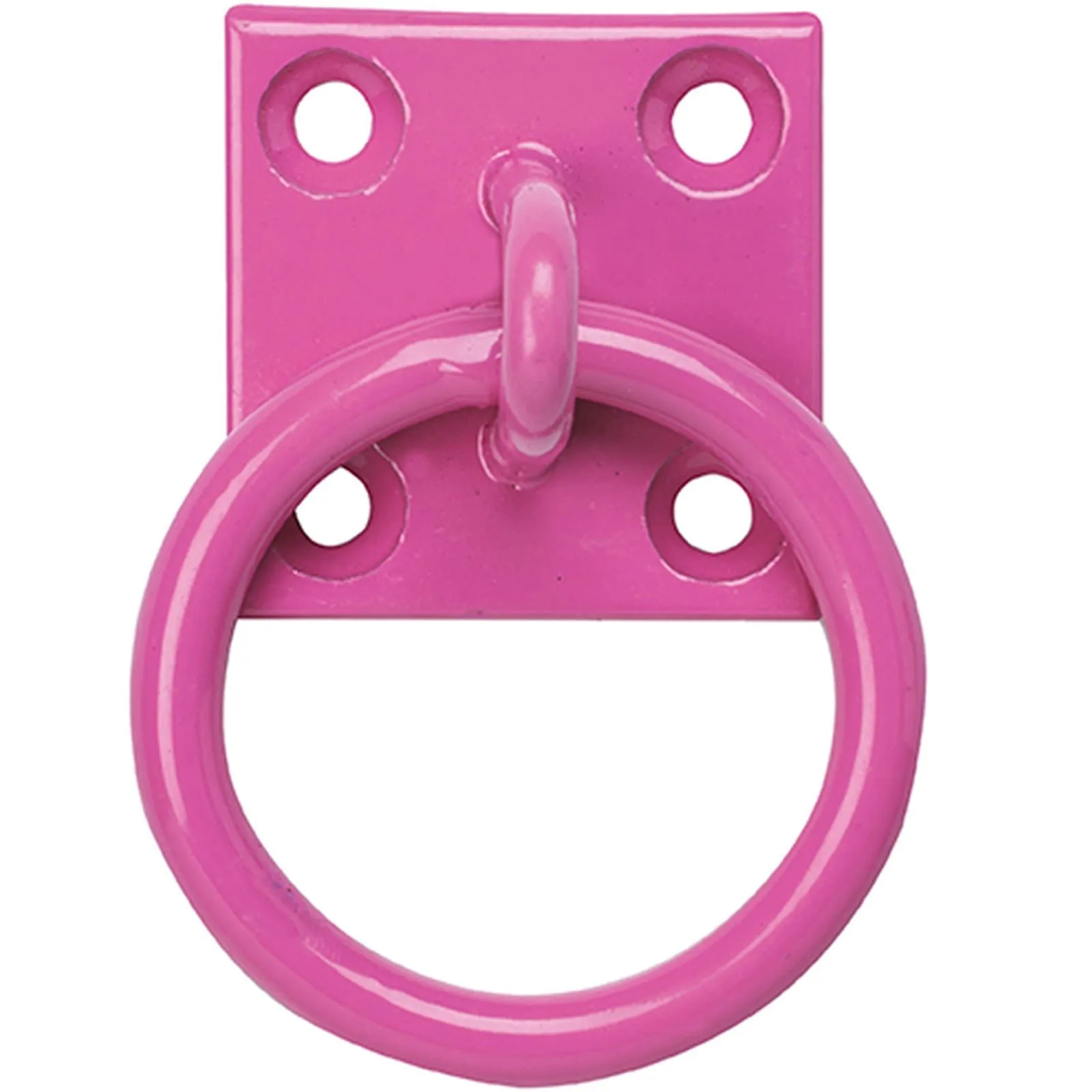 Perry Equestrian 50mm x 50mm Chain Ring on Plate