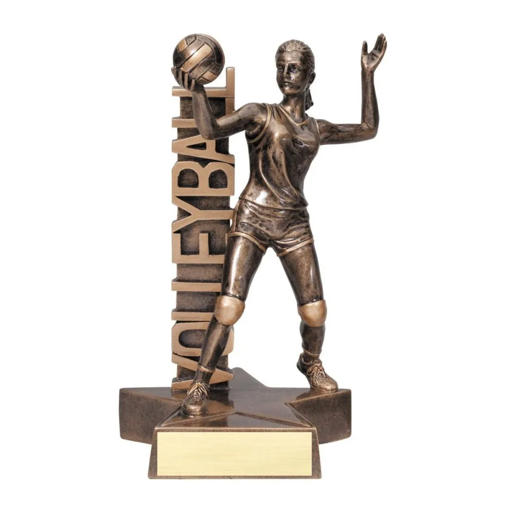 Volleyball Trophy - Billboard
