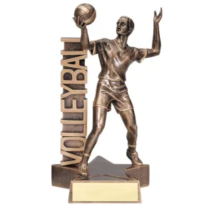 Volleyball Trophy - Billboard